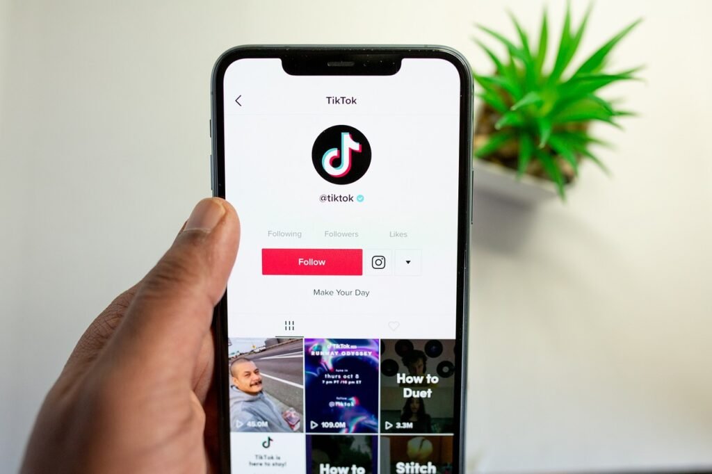 Finding the Right TikTok Influencers