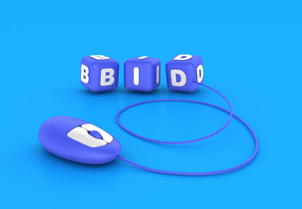 The Different Bidding Strategies on Facebook