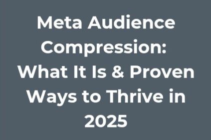 Meta Audience Compression